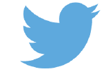 Twitter logo of blue bird