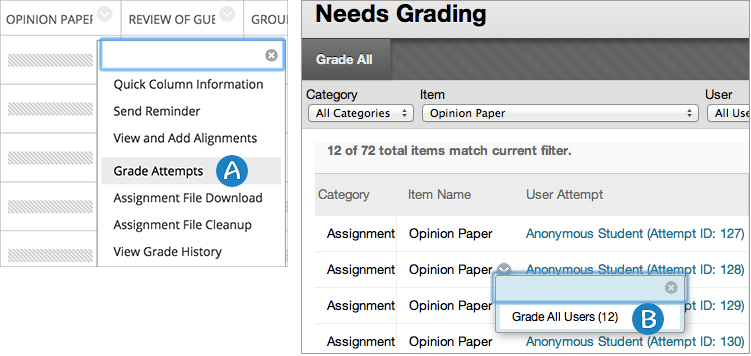 You can access assignment submissions that you set for anonymous grading in the Grade Center or on the Needs Grading page.
