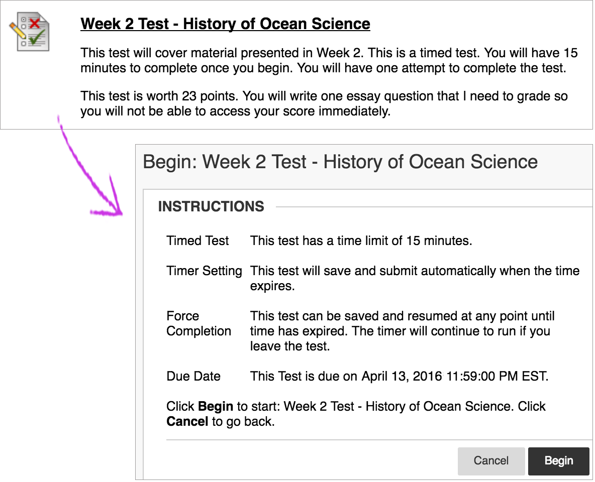 A screenshot of the "Begin" page for a sample test on Blackboard