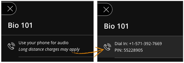Im Menü „Sitzung“ ändert sich der Text „Verwenden Sie für Audio Ihr Telefon“ in die Telefonnummer und PIN, die Sie zum Einwählen verwenden müssen.