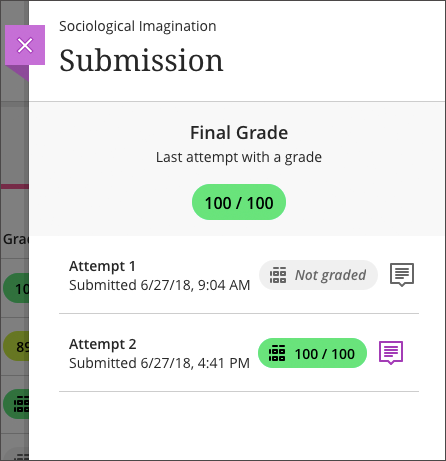The Submission page from the Student's view is open with two attempts on screen. One of it has a "Not graded" message and the other one has a "100/100" grade.