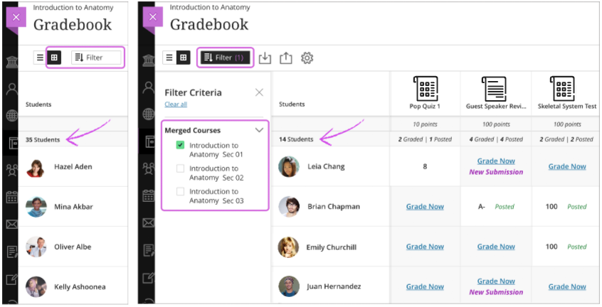 This is how results from a filter selection in the Gradebook filter panel look like. 