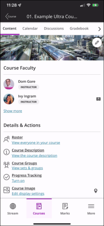 Ultra Course view displaying in Responsive Web Design