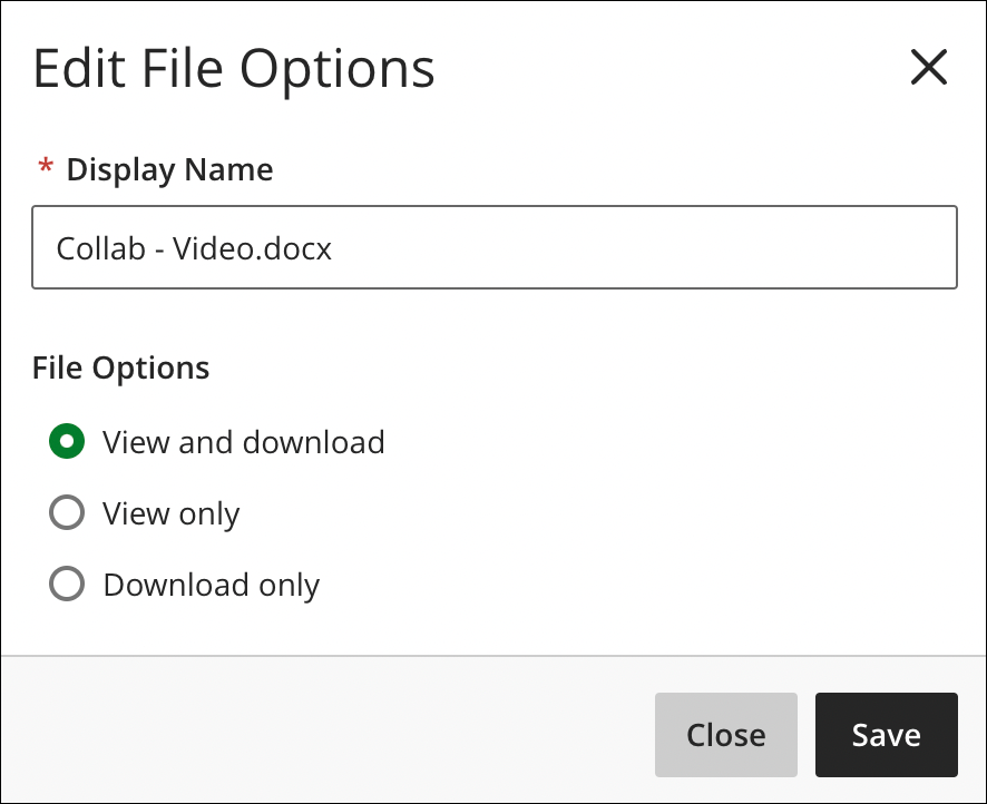 Edit file options panel