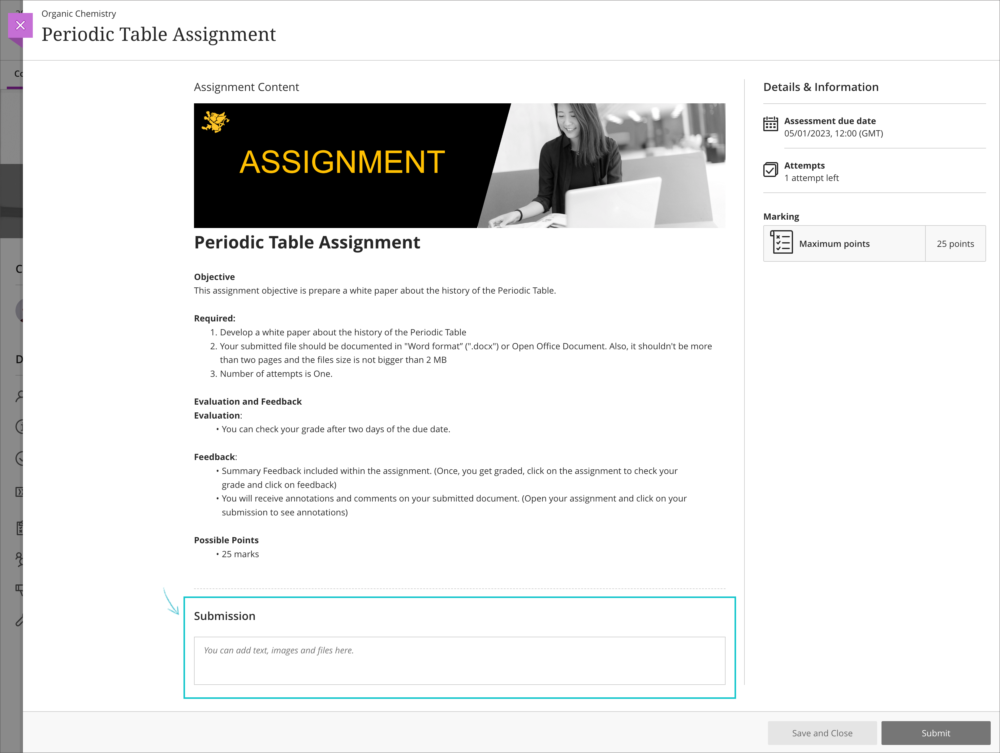 Submit an Assignment Screen in Ultra