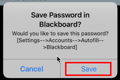 iOS warning to save password