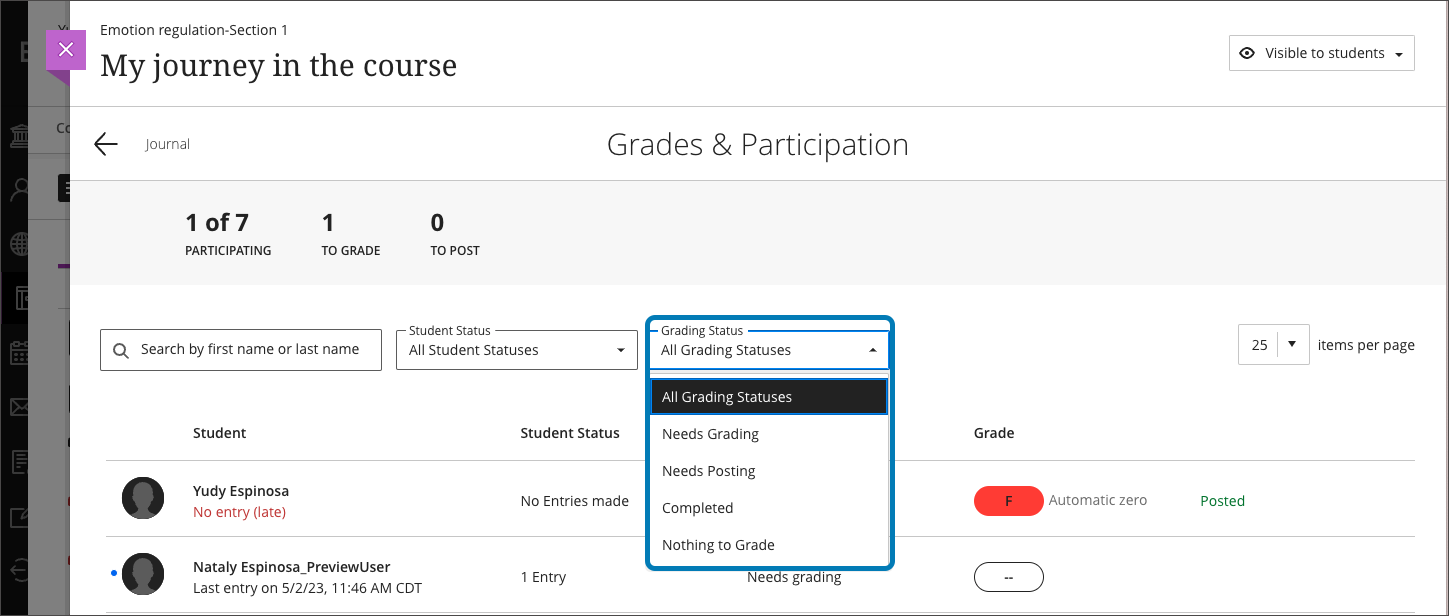 Journal Grades & Participation page with filters