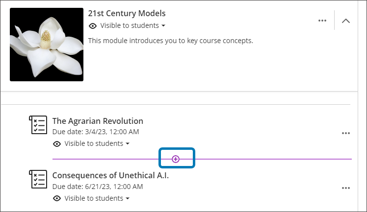 Image of a learning module, with the plus button highlighted between two assignments