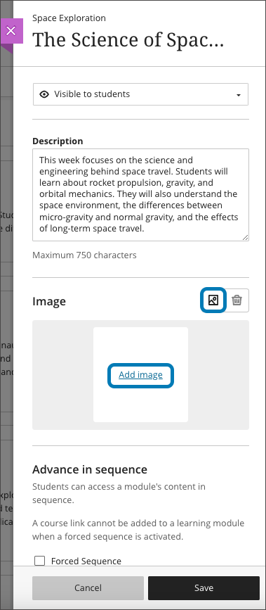 The instructor can select ‘Add image’ or the image button