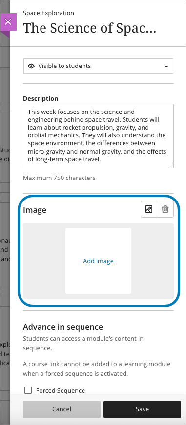 Image of the panel for editing a learning module, highlighting the image option in the middle