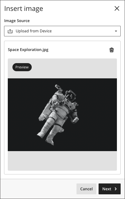 Image of the panel to insert an image, showing a preview of the astronaut in the image
