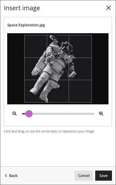 Image of the zoom slider beneath a grid on the image preview on the insert image panel