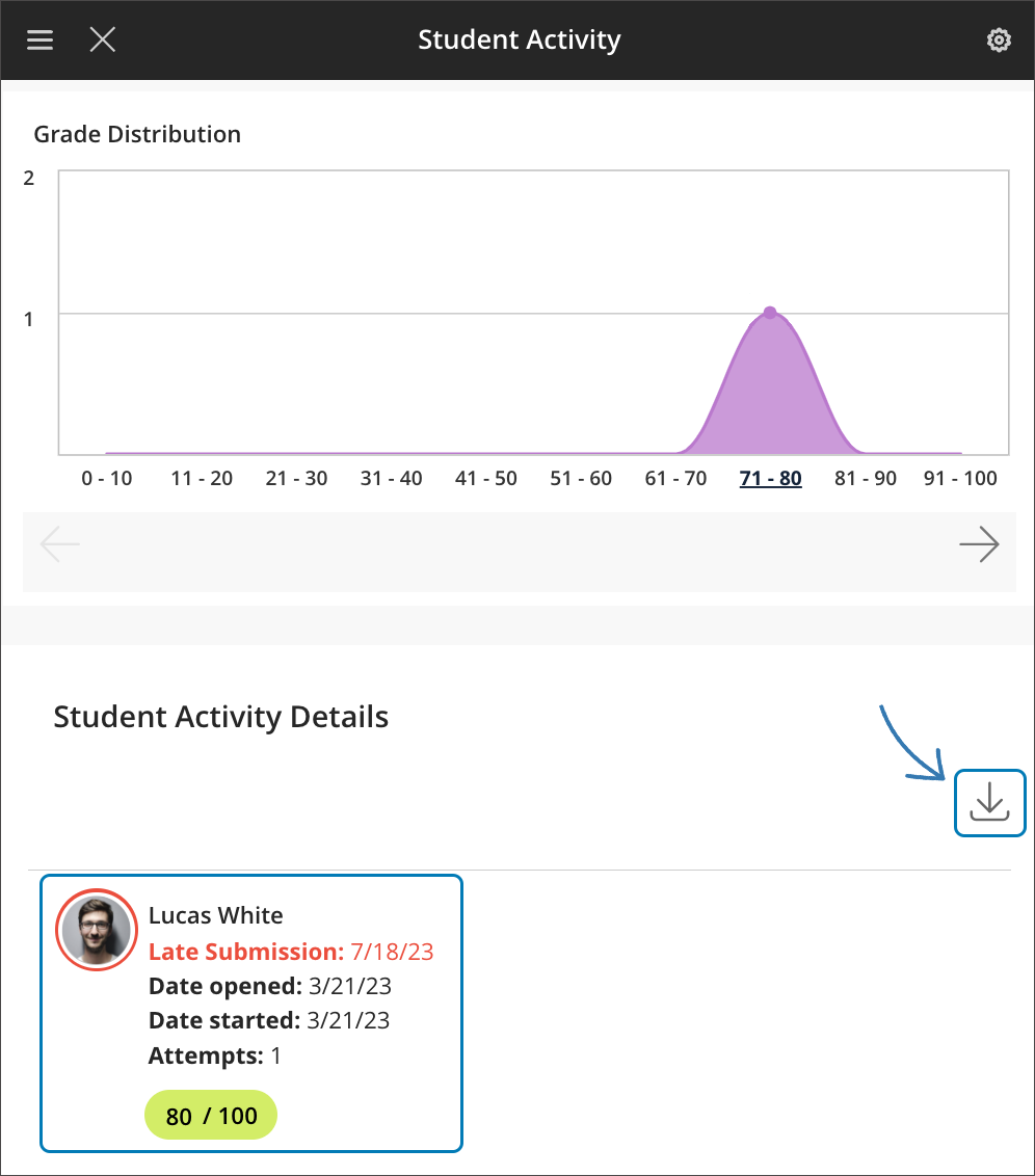 Student Activity report for an assessment on a small screen