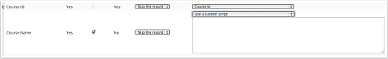 'Use a custom script' option selected