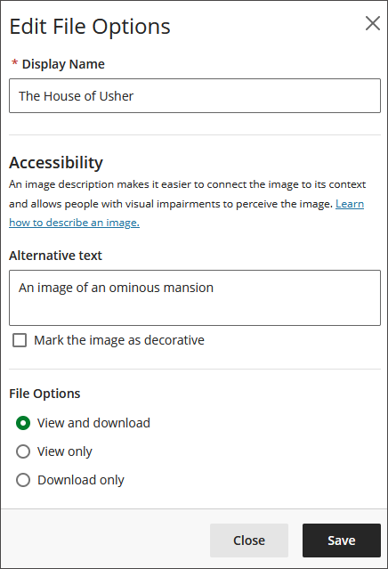 Image of the Edit File Options panel, showing the Accessibility and File Options