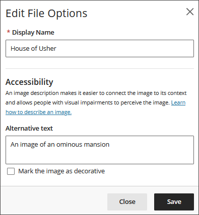 The Edit File Options panel, showing where to enter a Display Name and accessibility options