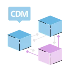 illustrazione di un gruppo di scatole interconnesse con etichetta CDM           