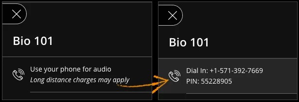 Im Menü „Sitzung“ ändert sich der Text „Verwenden Sie für Audio Ihr Telefon“ in die Telefonnummer und PIN, die Sie zum Einwählen verwenden müssen.