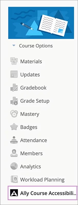 ally_schoology_course_report