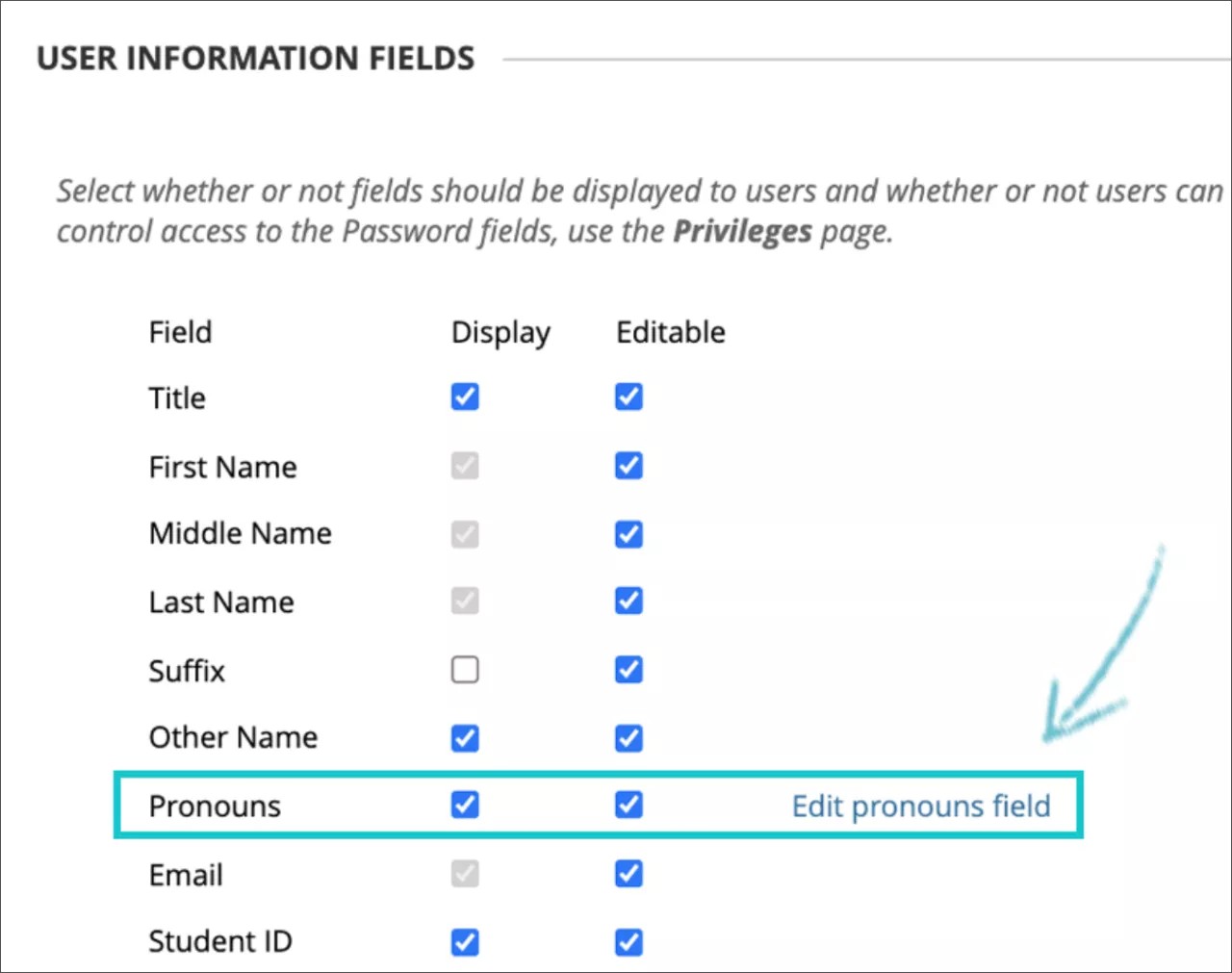 Administration Panel's User Information Fields showing Pronouns