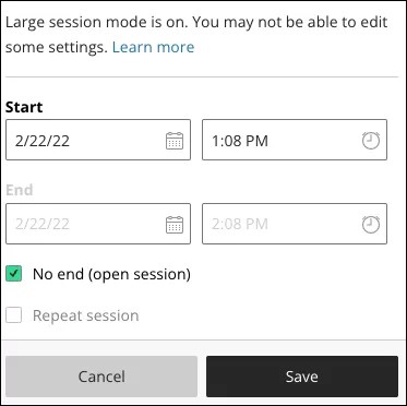 Session setting with large session mode on and no end (open session) selected.