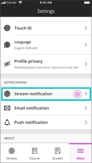 Stream notification option in the Settings section