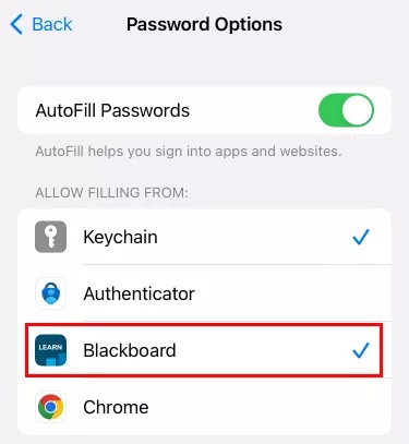 iOS screenshot of password options