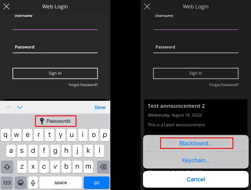 iOS screenshot of password auto fill