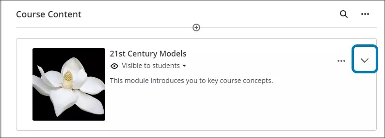 Image of a learning module, highlighting the arrow to expand a learning module's content